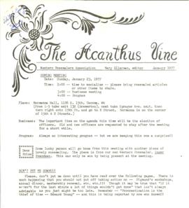 Acanthus Vine, January 1977