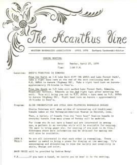 Acanthus Vine, April 1978